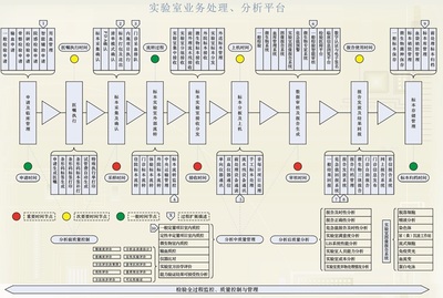 灵鹊LIS解决方案